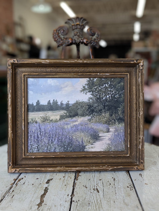 Lavender fields framed print
