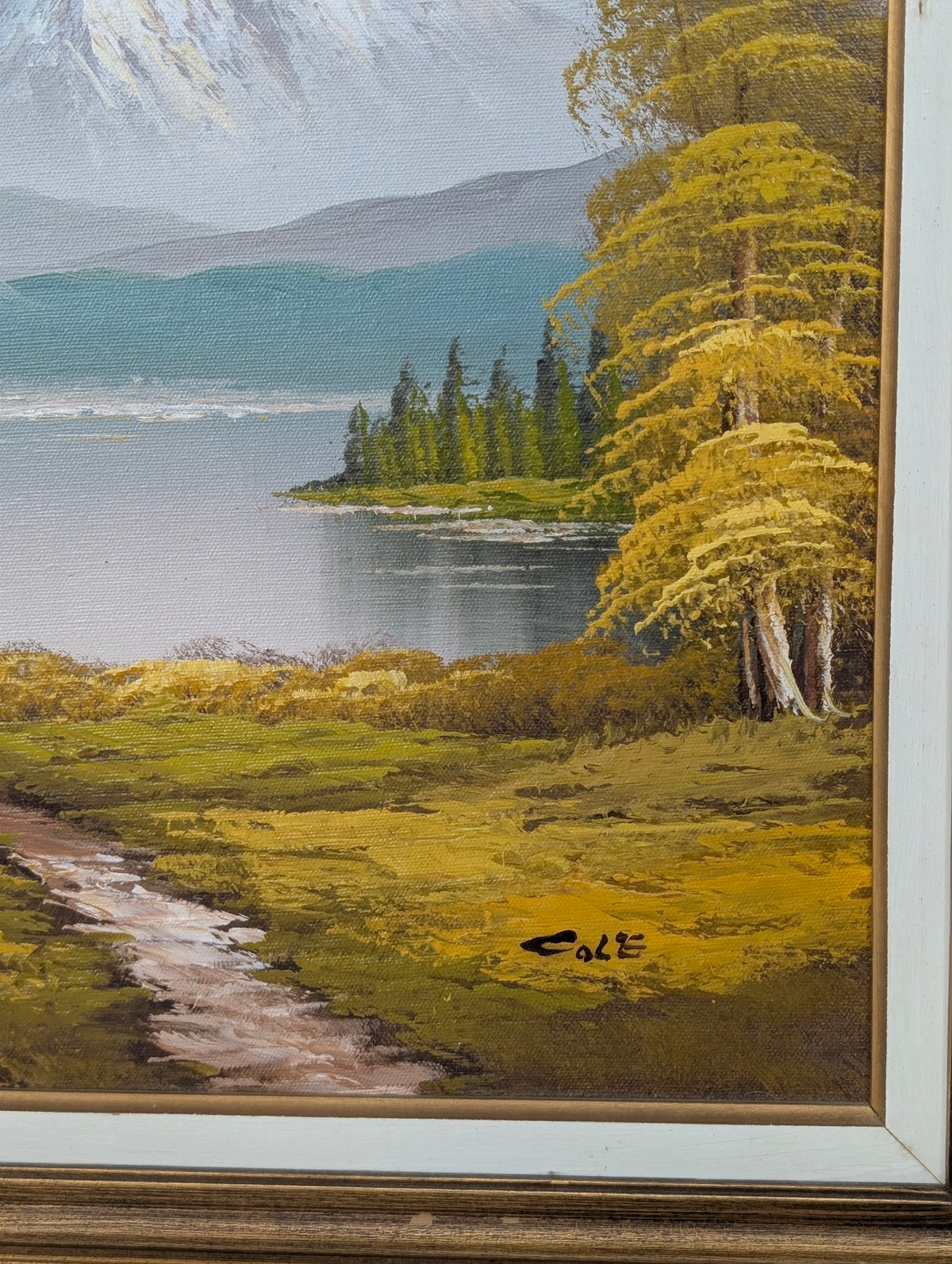 Large mountain scene Original Art