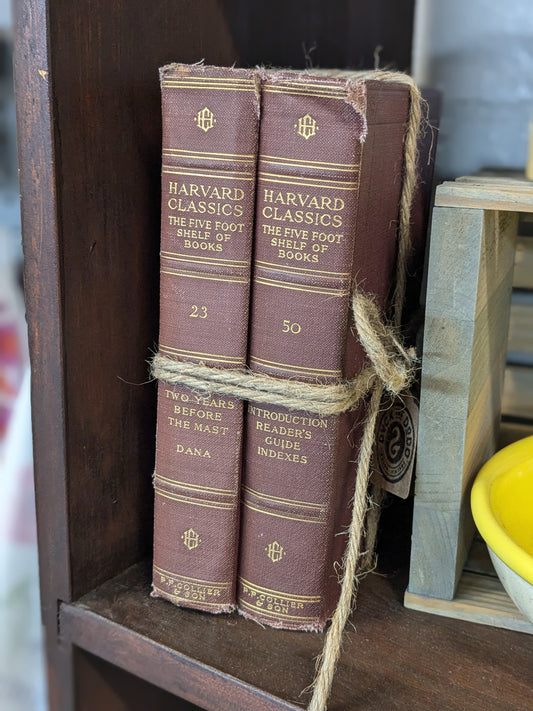 Book Stack 2 books