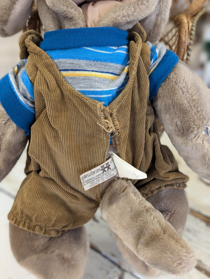 Wrinkles dog with outfit