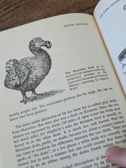 Exotic Zoology