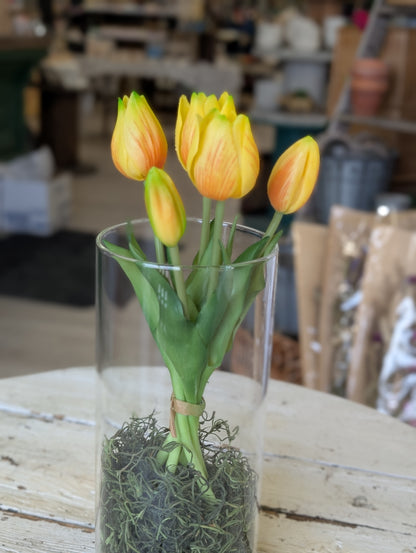 10" Fresh wild Yellow Tulips