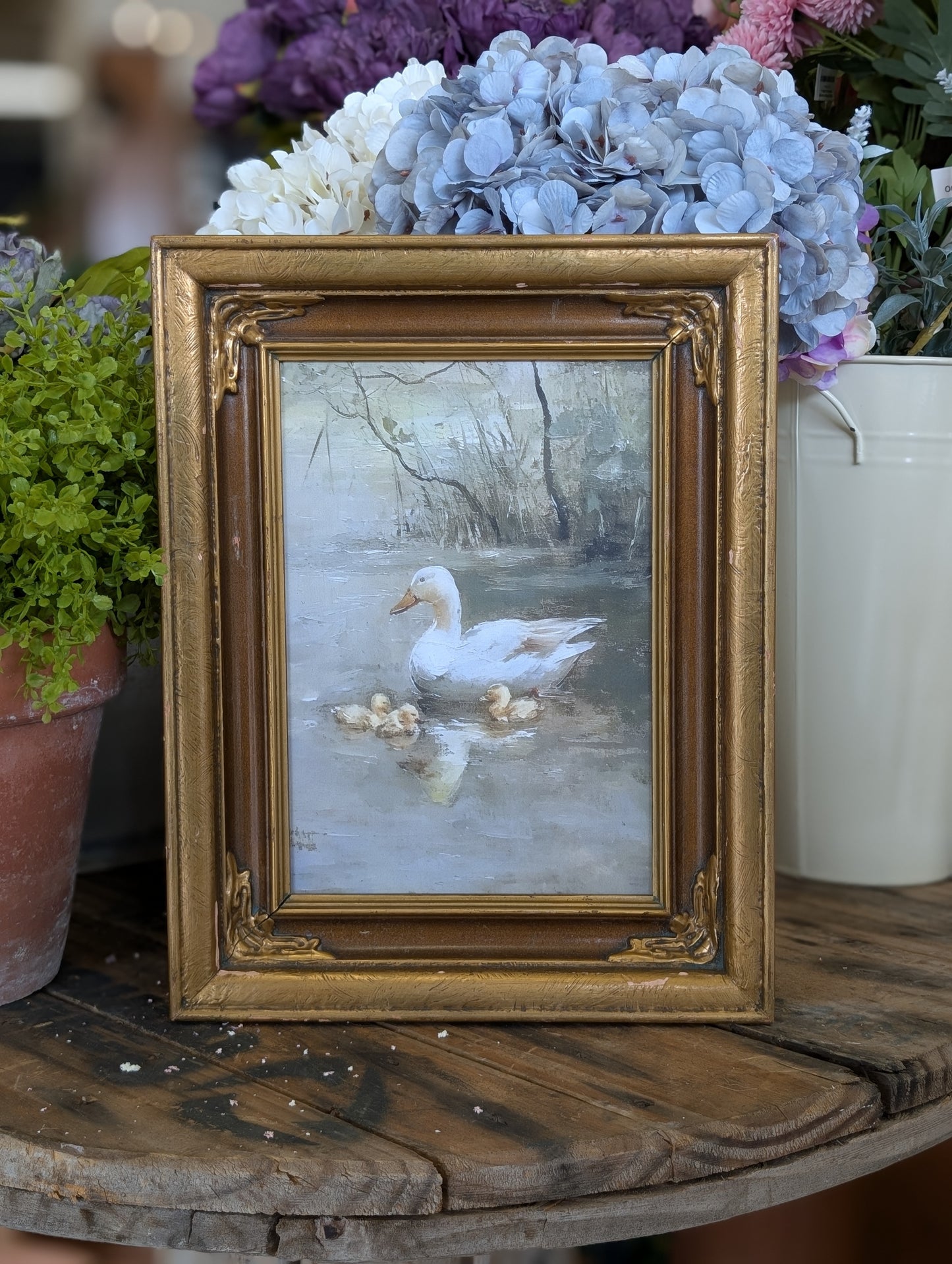 framed swimming duck print