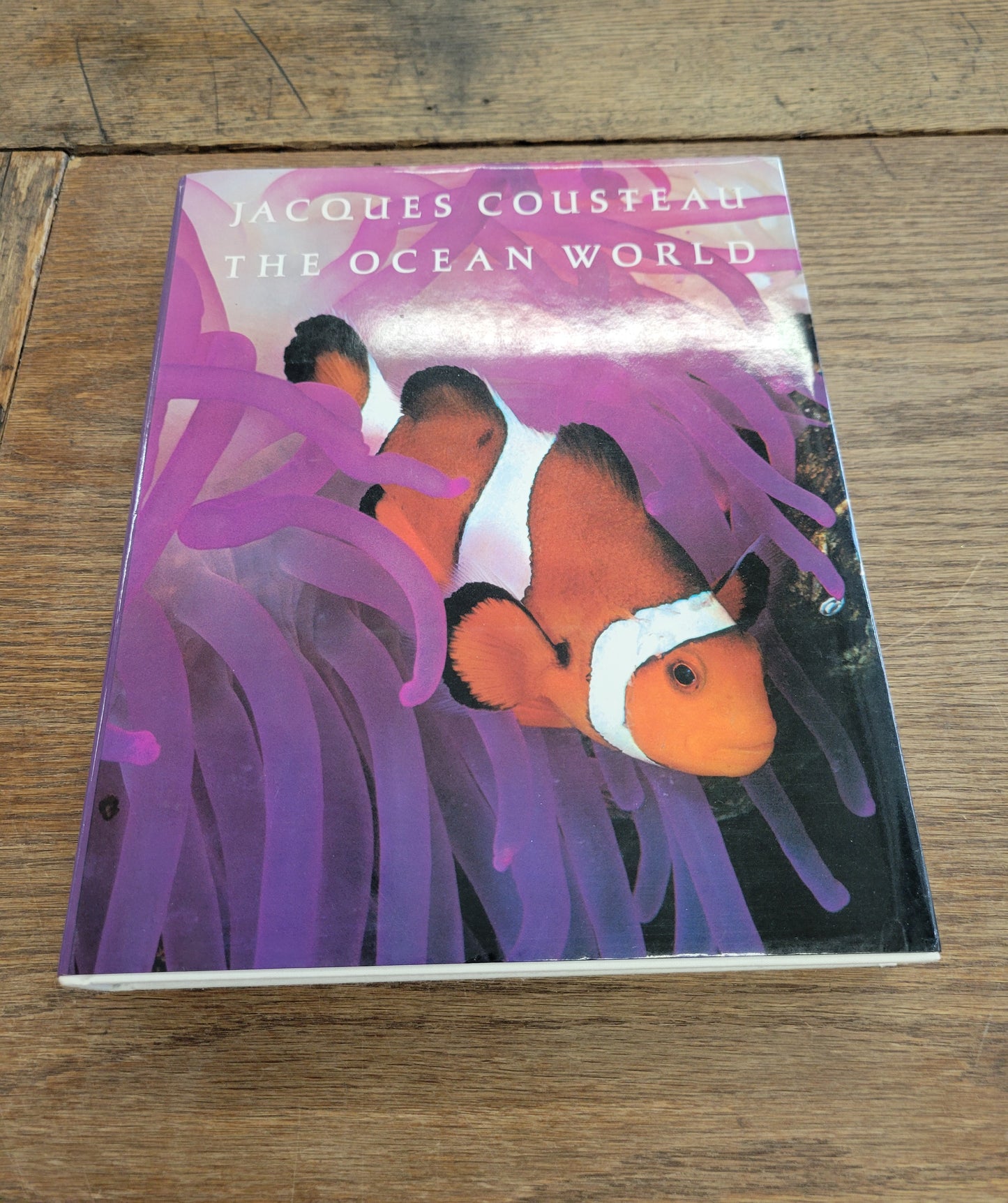 The Ocean World