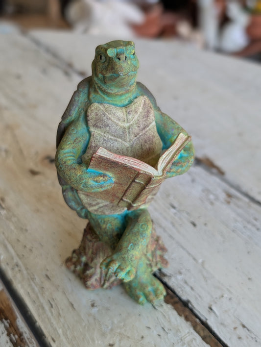 Reading turtle