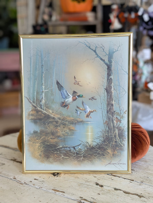Mallard Duck wall Art