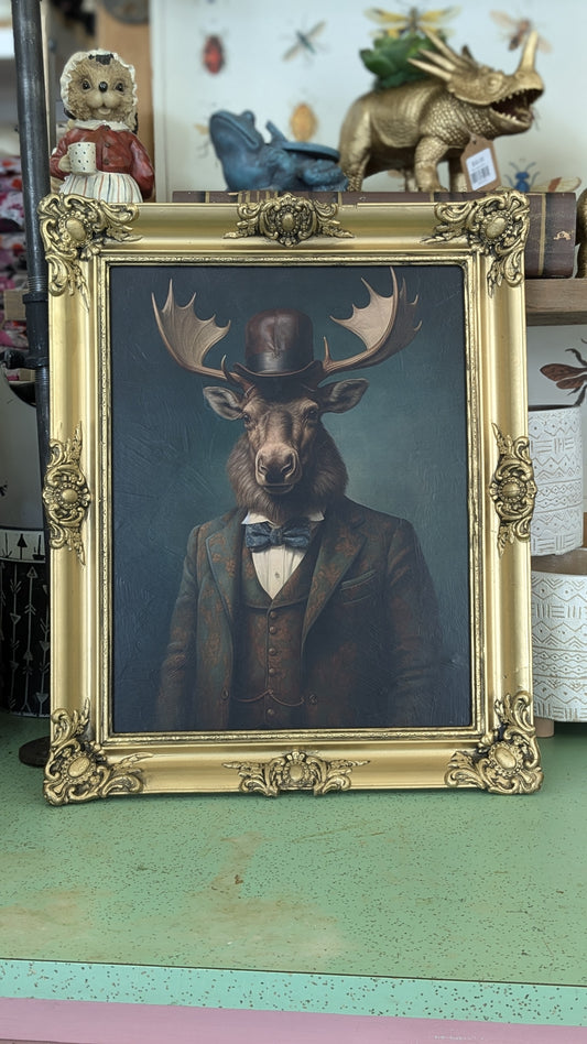 Framed Dapper Moose in Frame