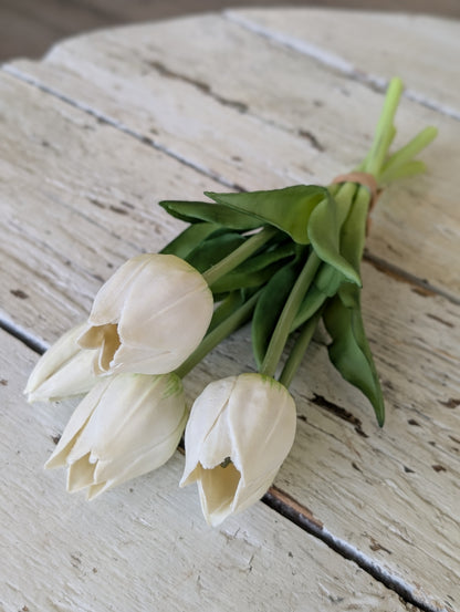 10" Fresh wild White Tulips