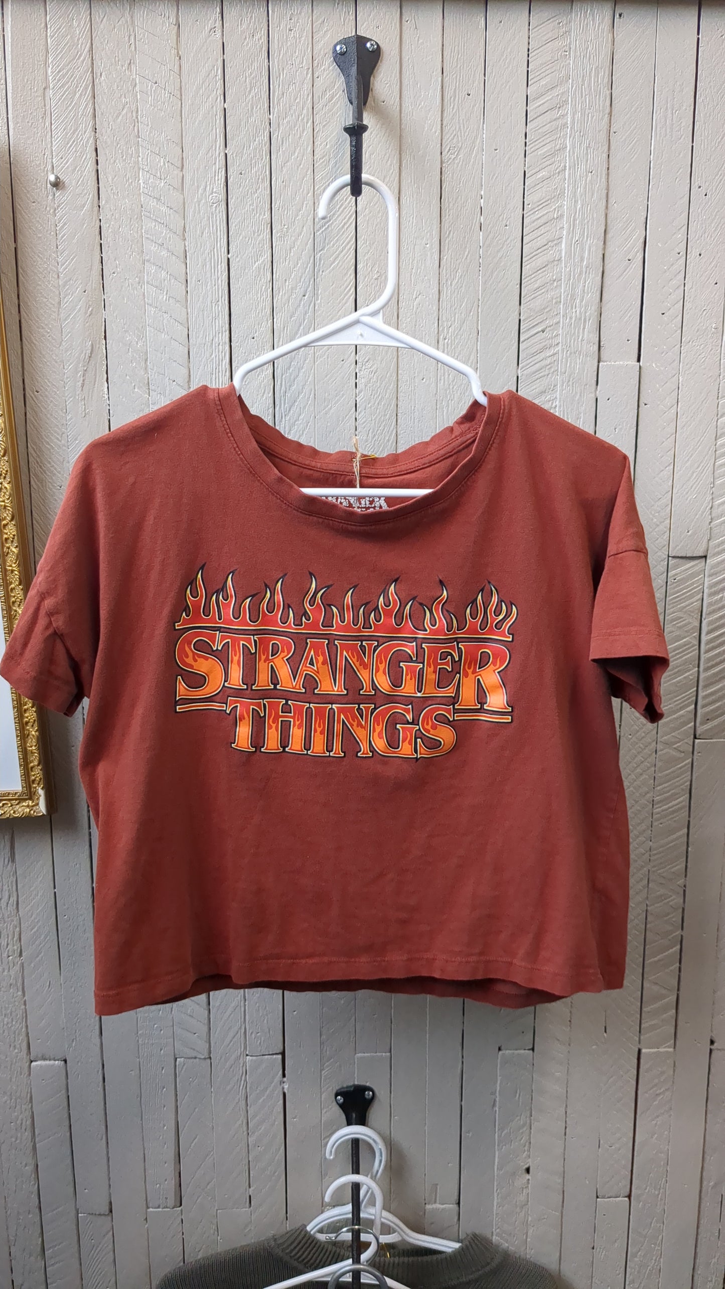 Stranger Things Cropped T-Shirt (Size M)