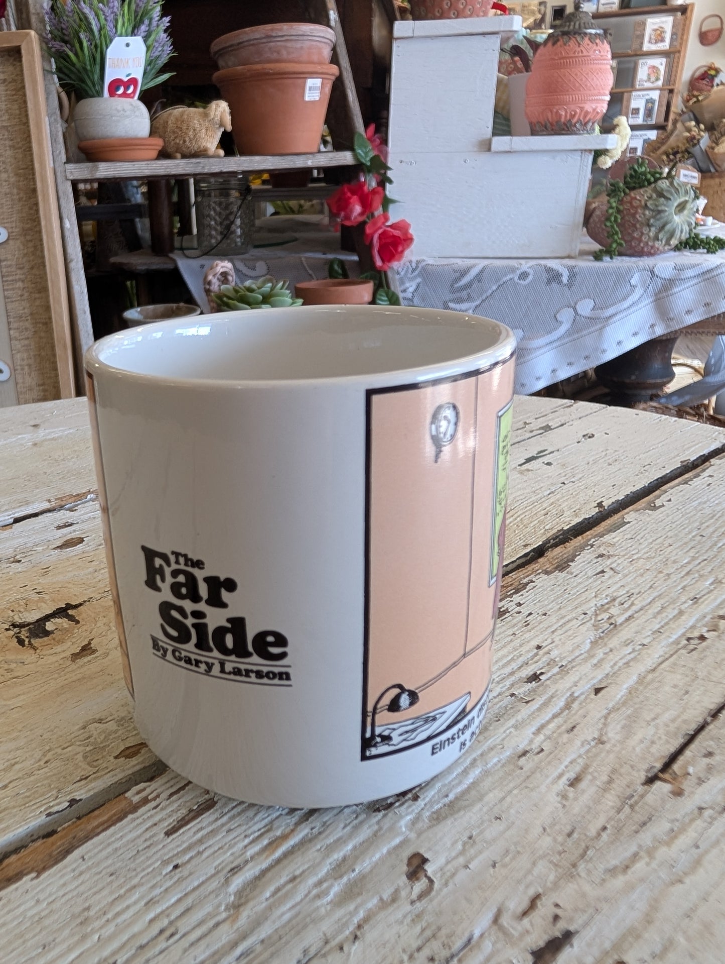 Far side Mug