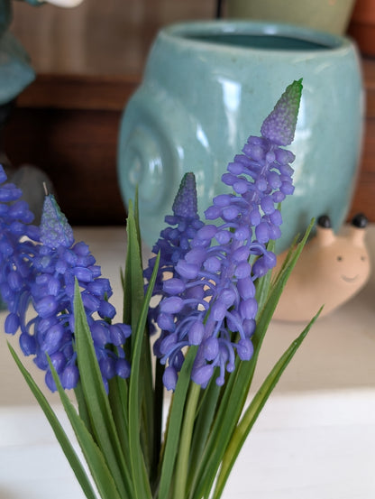 Purple Muscari Bundle