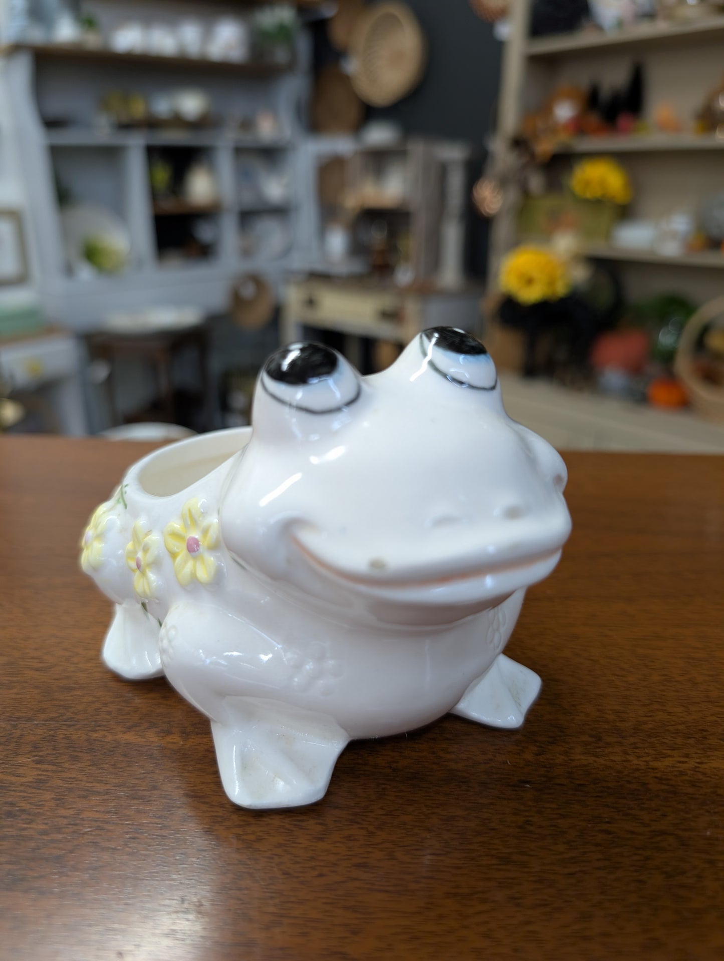 Frog planter