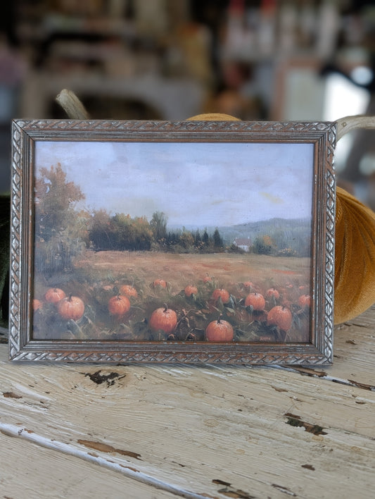 Framed pumpkin feild