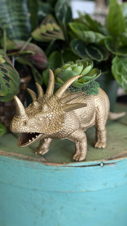 Faux succulent in Styracosaurus