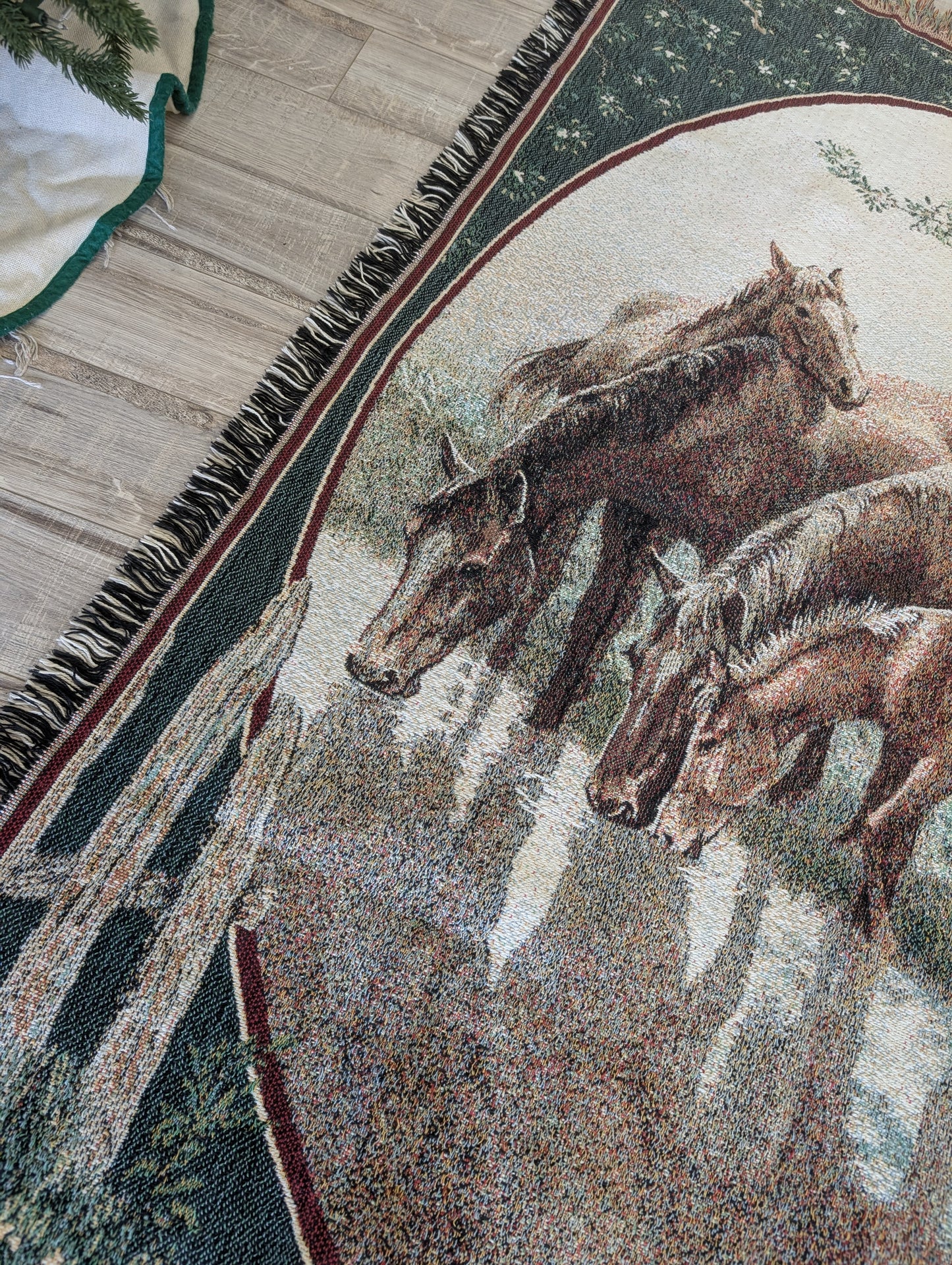Horse Blanket