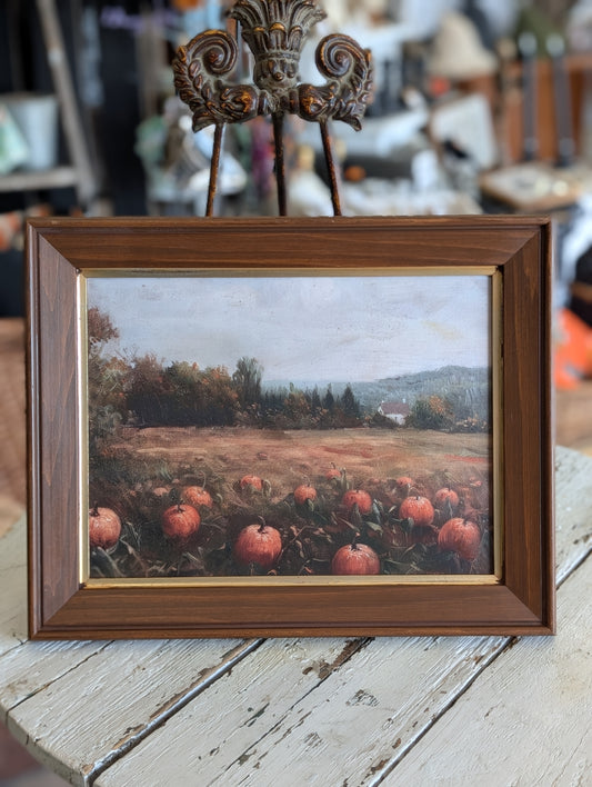 Pumpkin field framed Print