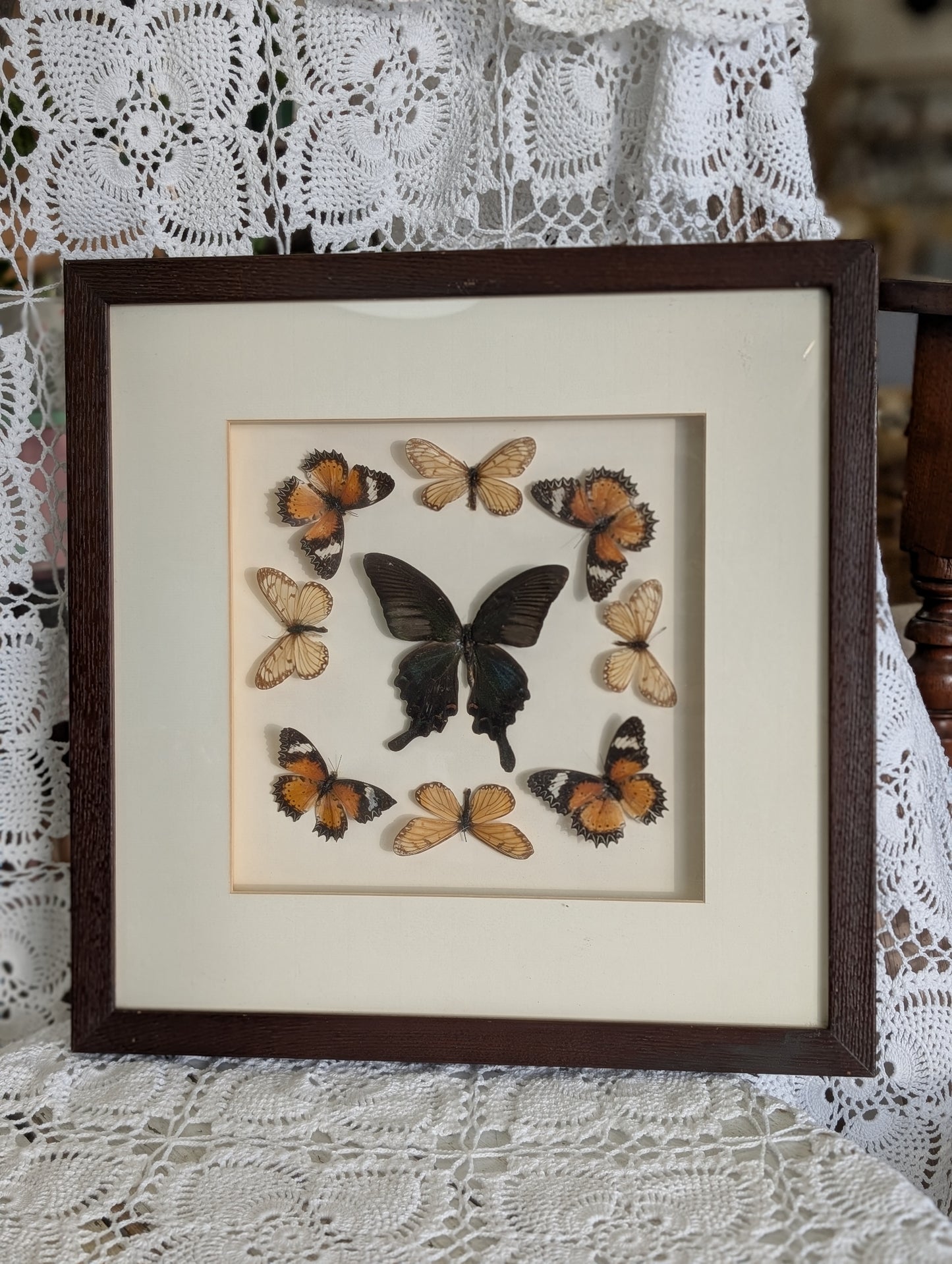 Butterfly wall art
