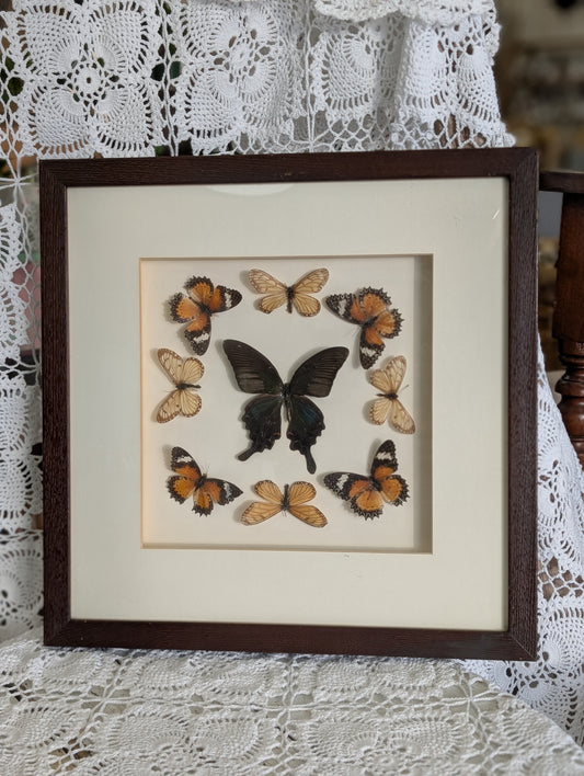 Butterfly wall art