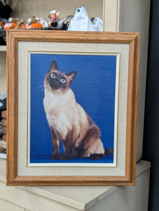 Cat portrait art