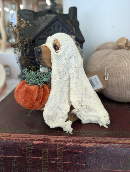 Ghost dog - Coco