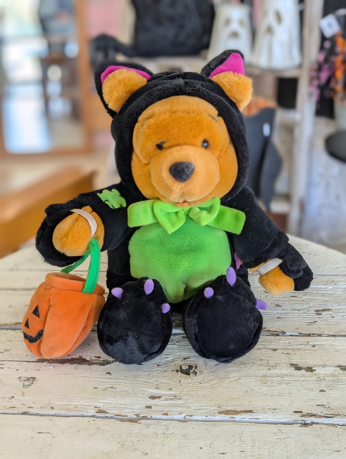 Pooh the kitty cat