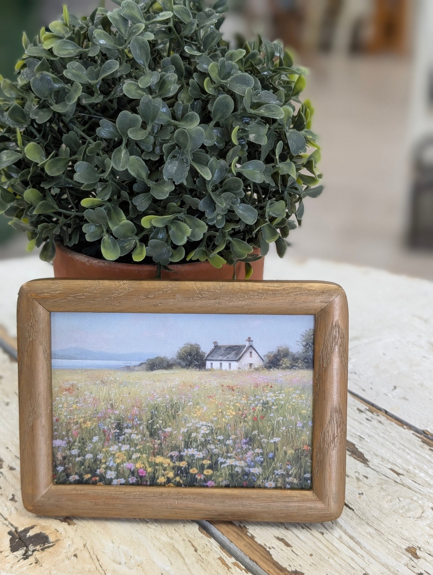 Framed print of field 3x4