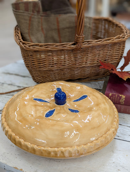 Blueberry pie container