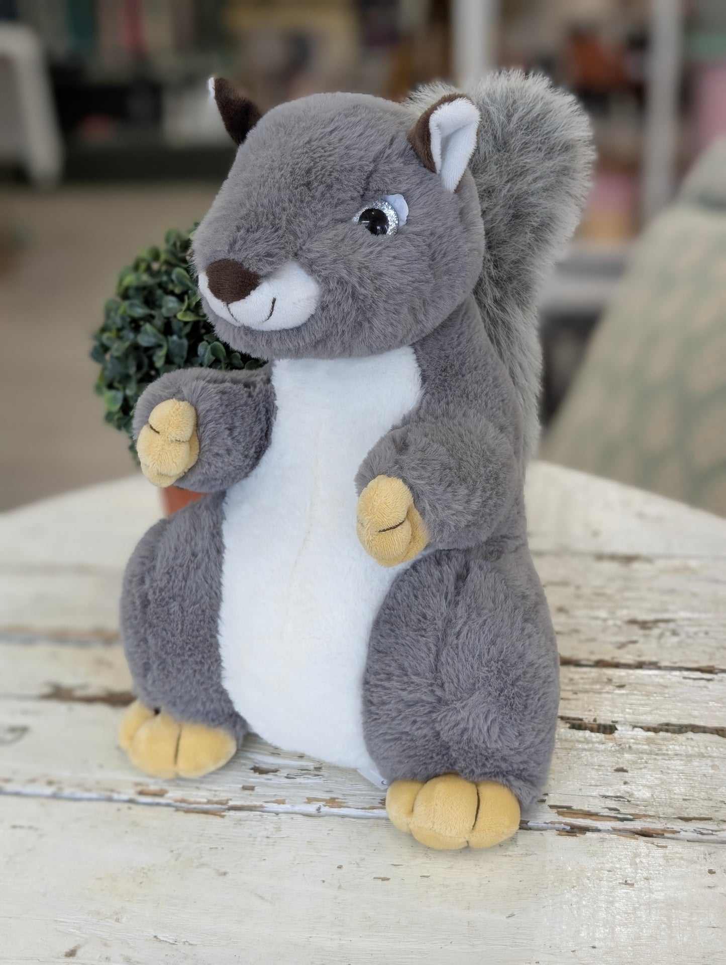 Steven the Squirrel