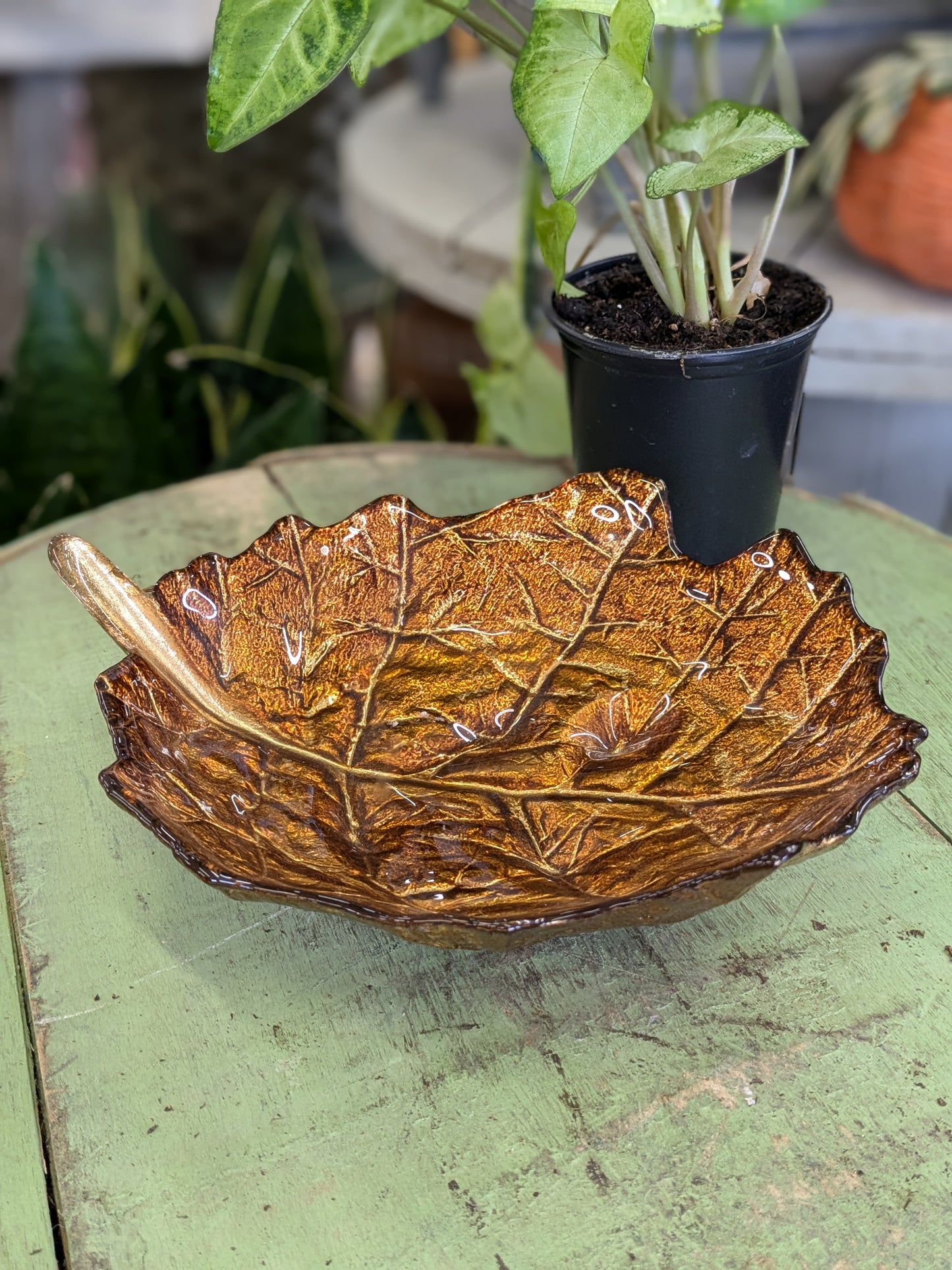 Glass leaf plate