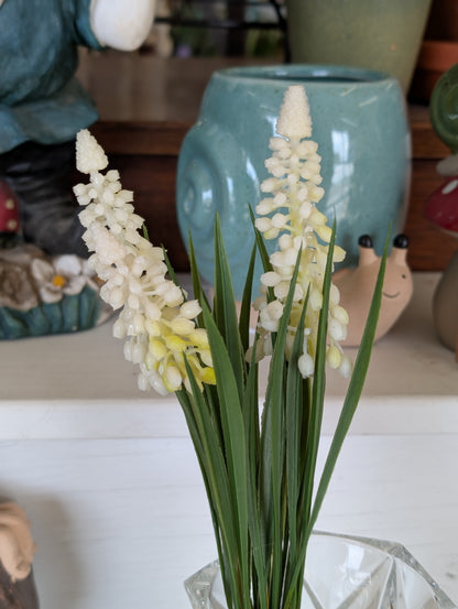 White Muscari Bundle