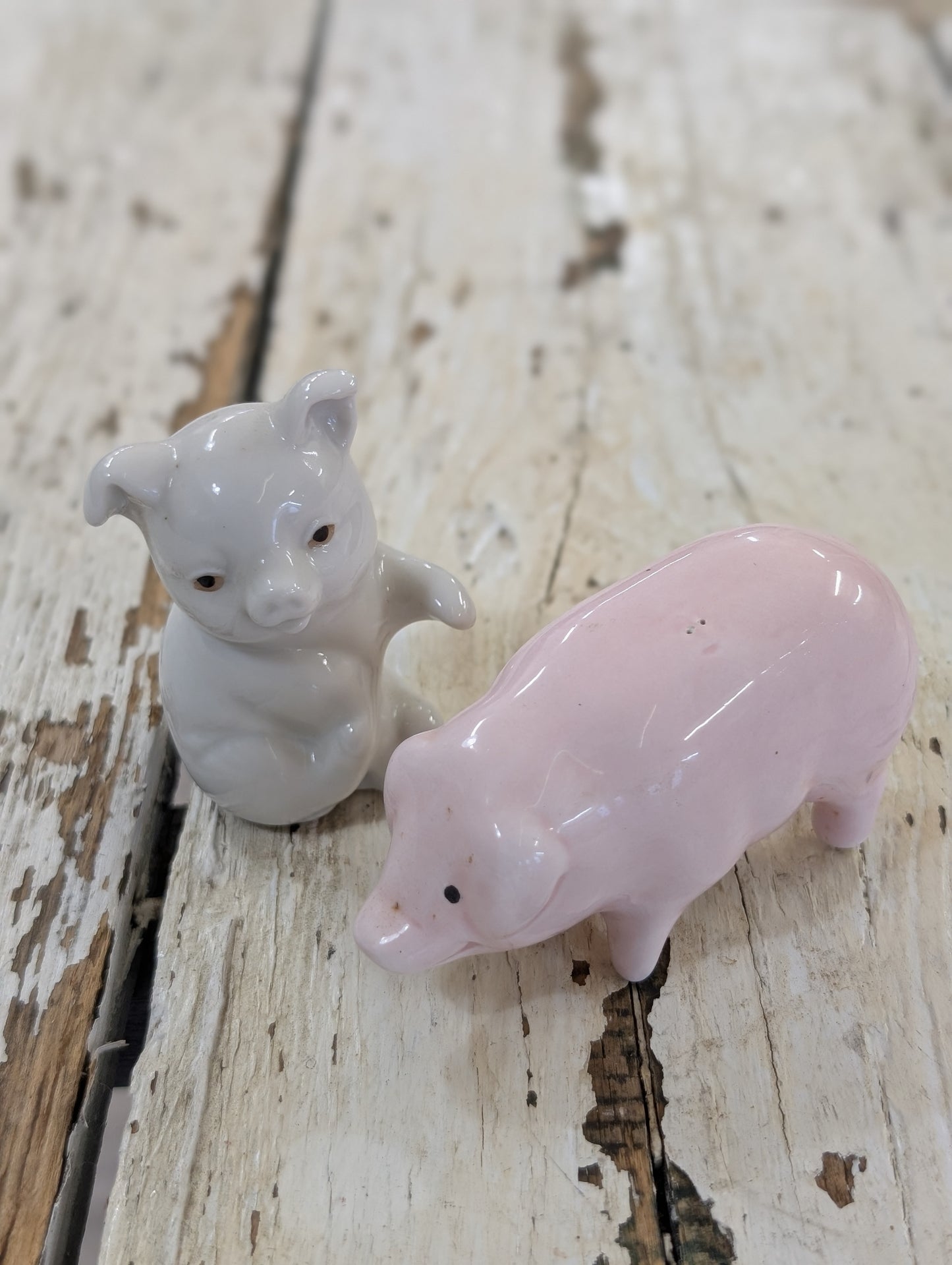 Pig ceramic