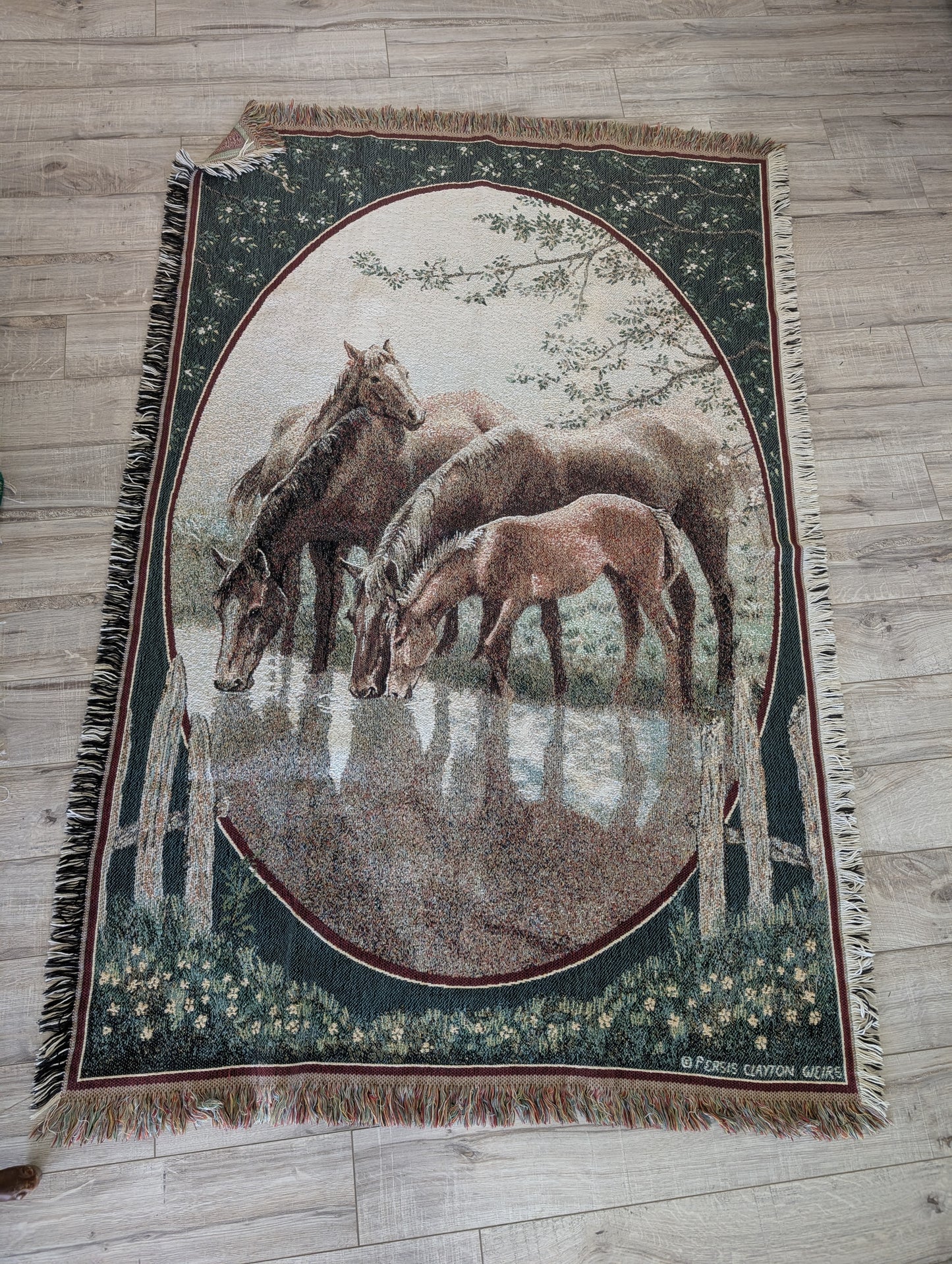 Horse Blanket