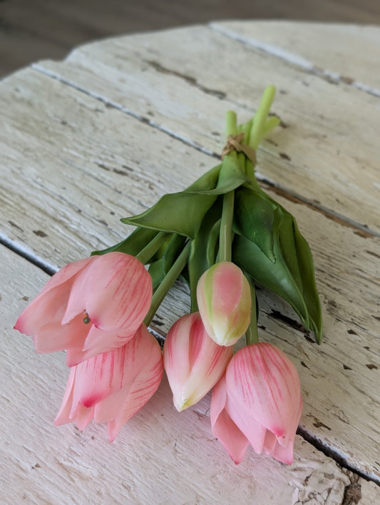 10" Fresh wild Pink Tulips