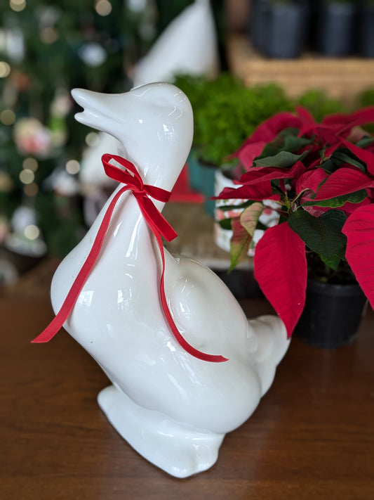 Standing duck