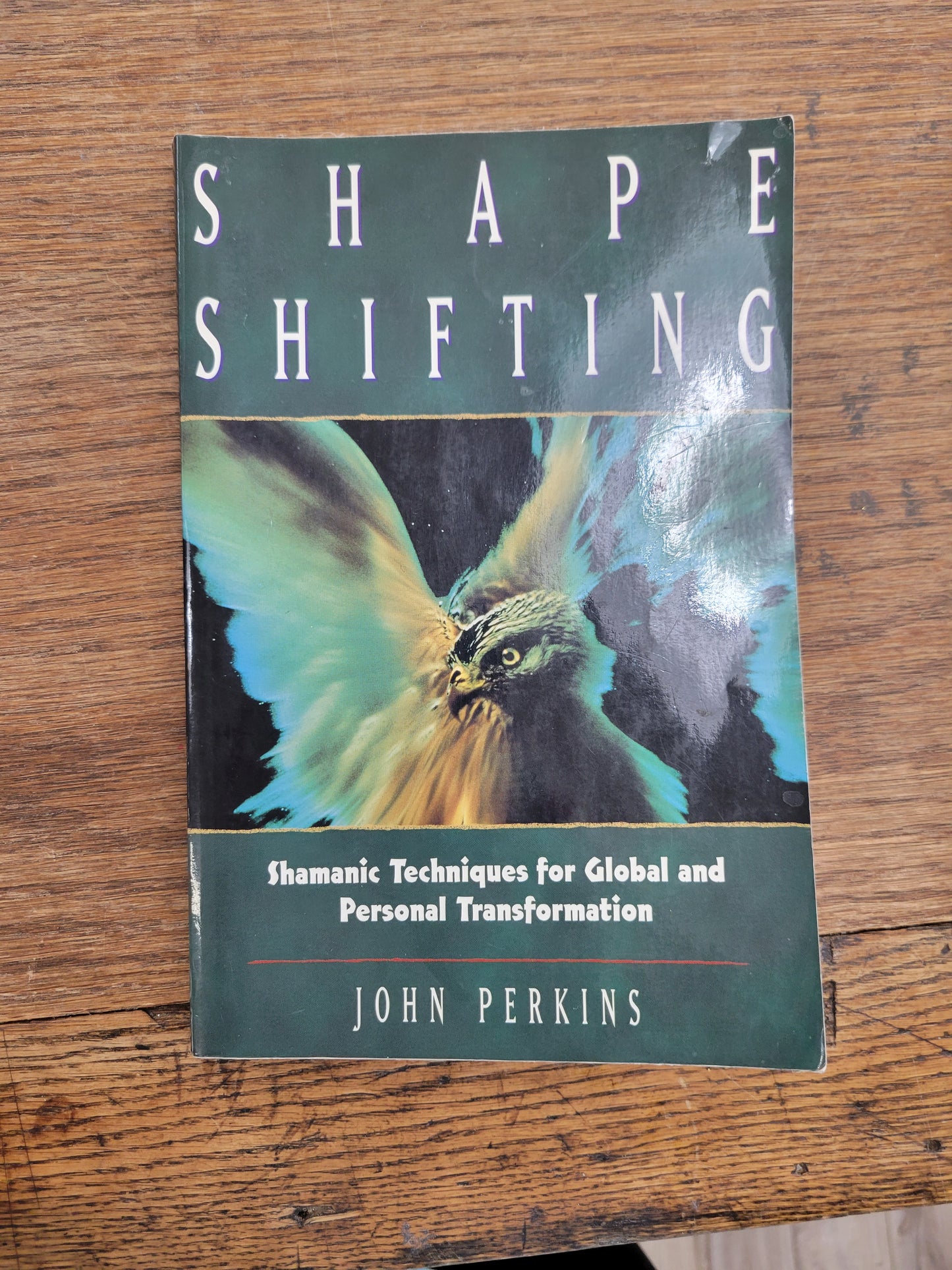 Shape Shifting Book