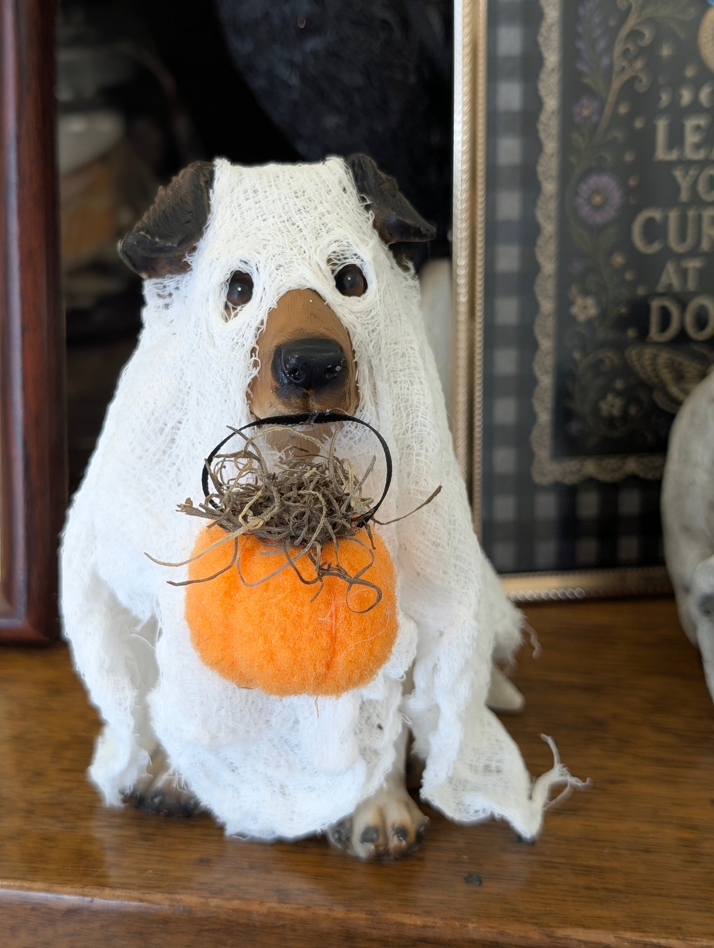 Ghost dog