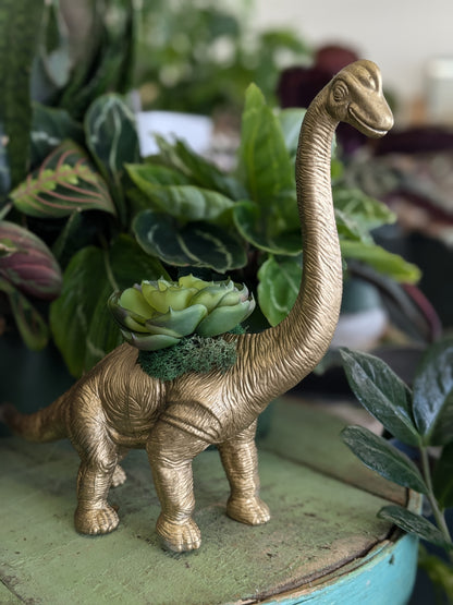 Faux succulent in Brontosaurus