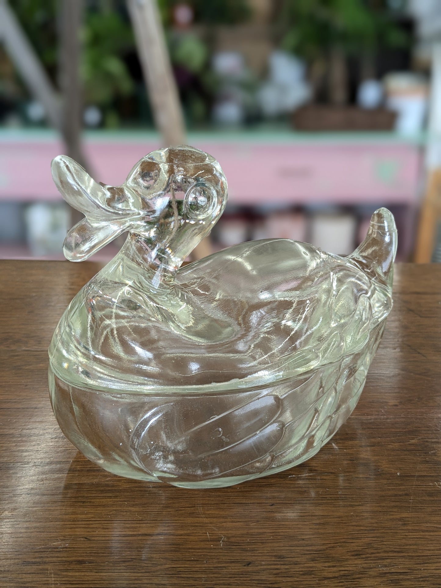 Glass duck container