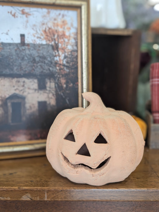 Small Orange Textured Pumpkin
