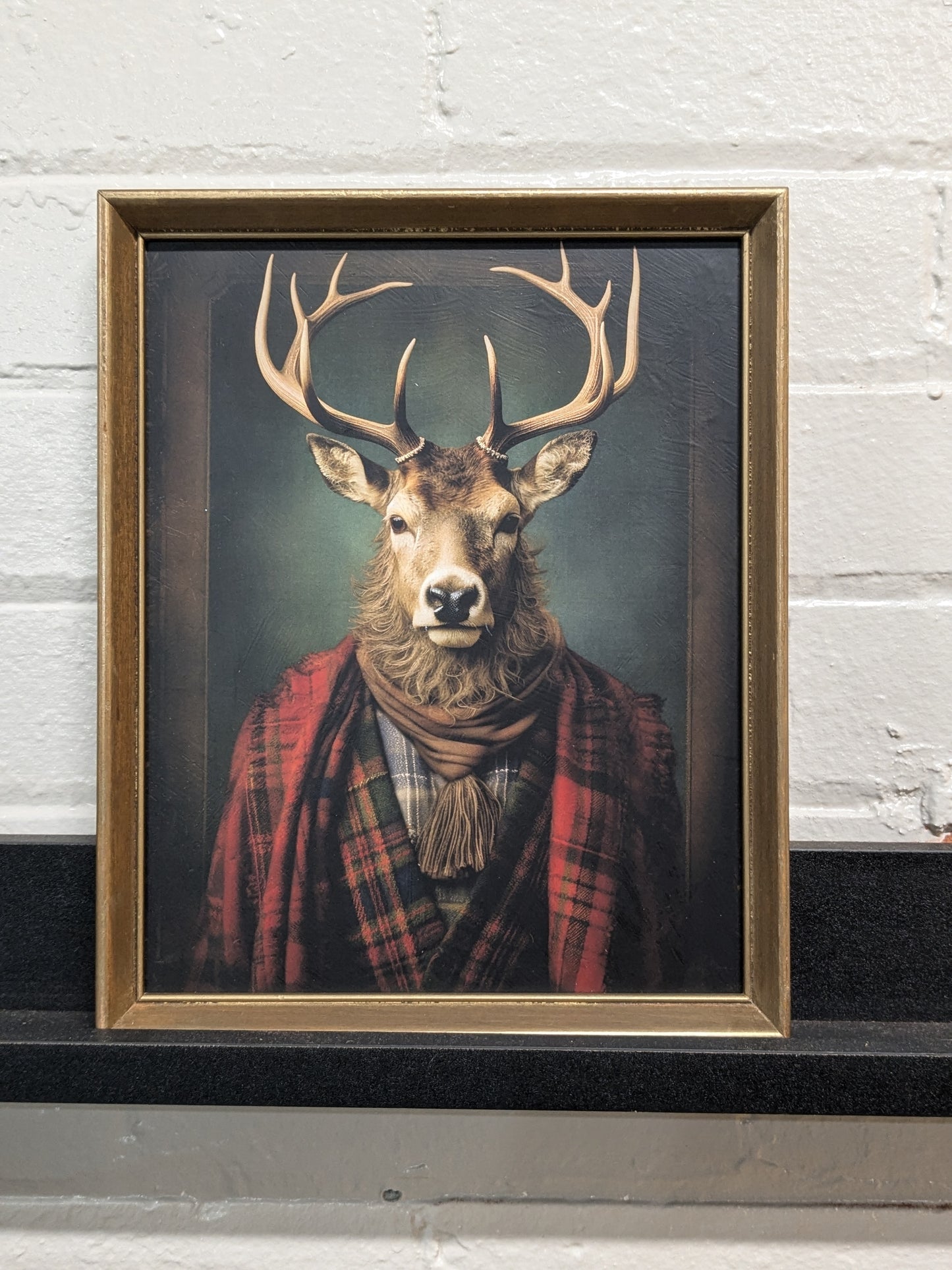 Dapper Elk Framed Print