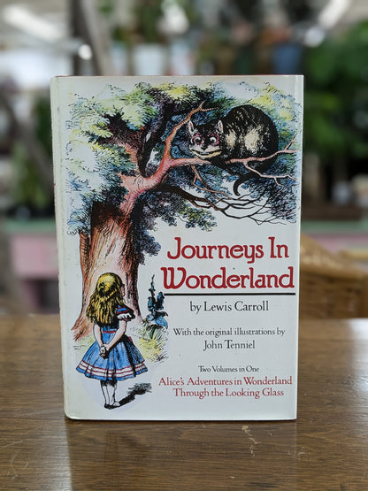 Journeys in Wonderland