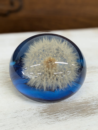 Dandelion paperweight