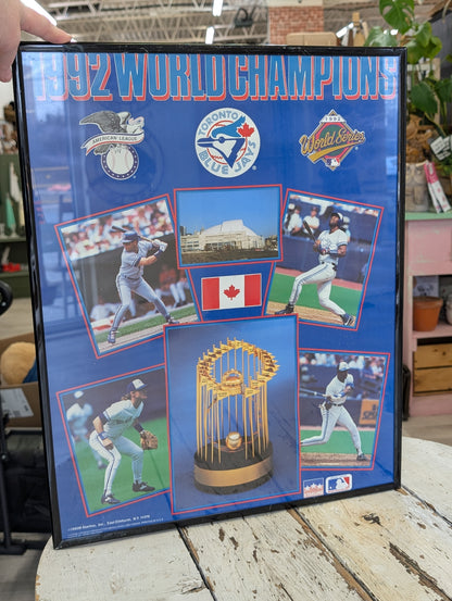 Blue Jays Poster