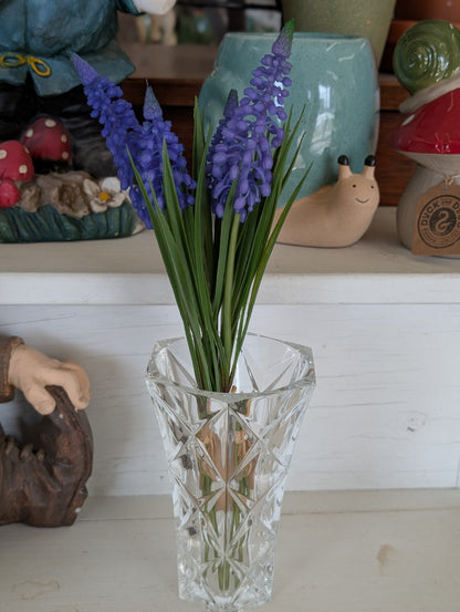 Purple Muscari Bundle
