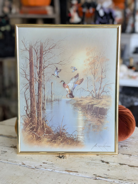 Woodland Mallard flying print