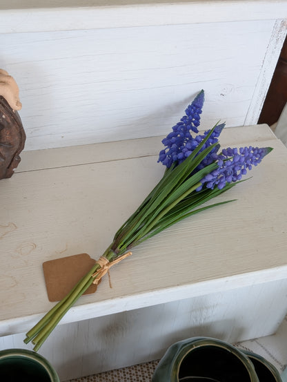 Purple Muscari Bundle