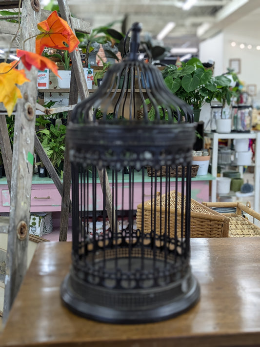 Black bird cage