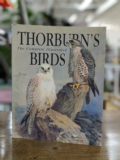 Thorburns Birds