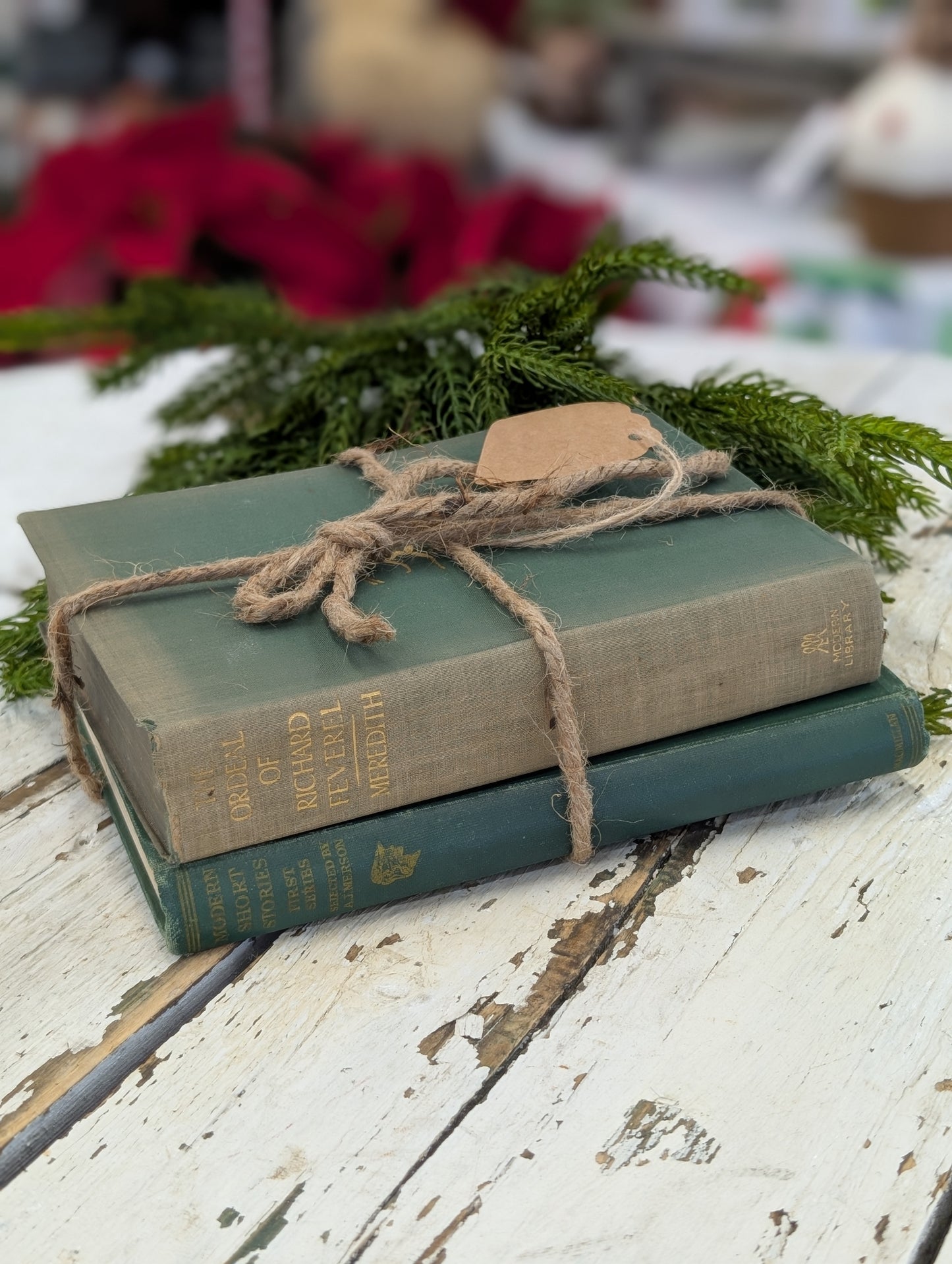 Set of 2 Green Books