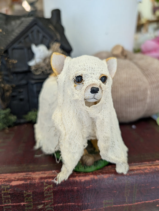 Ghost dog - Ethan